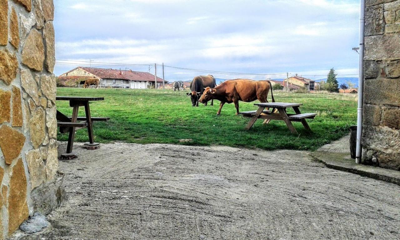 Casa Druna Lee ; Casa En El Campo Leilighet Santa Gadea  Eksteriør bilde